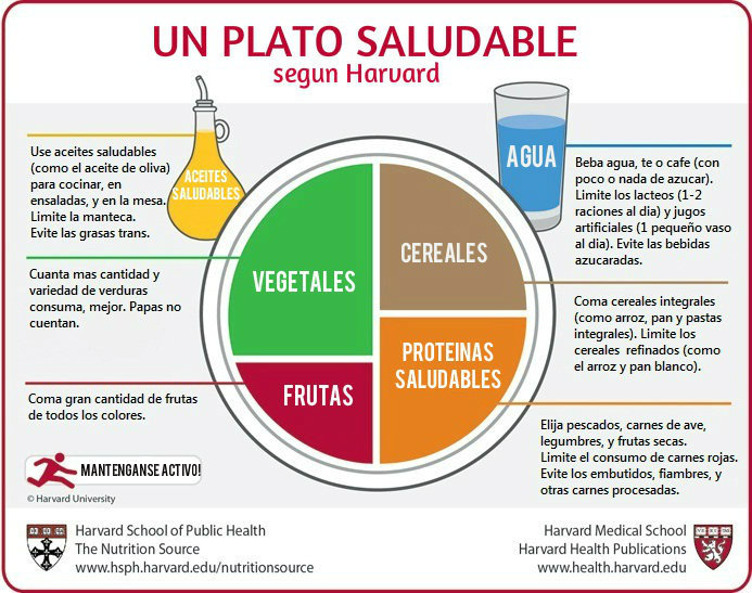 El plato para comer saludable según la Universidad de Harvard